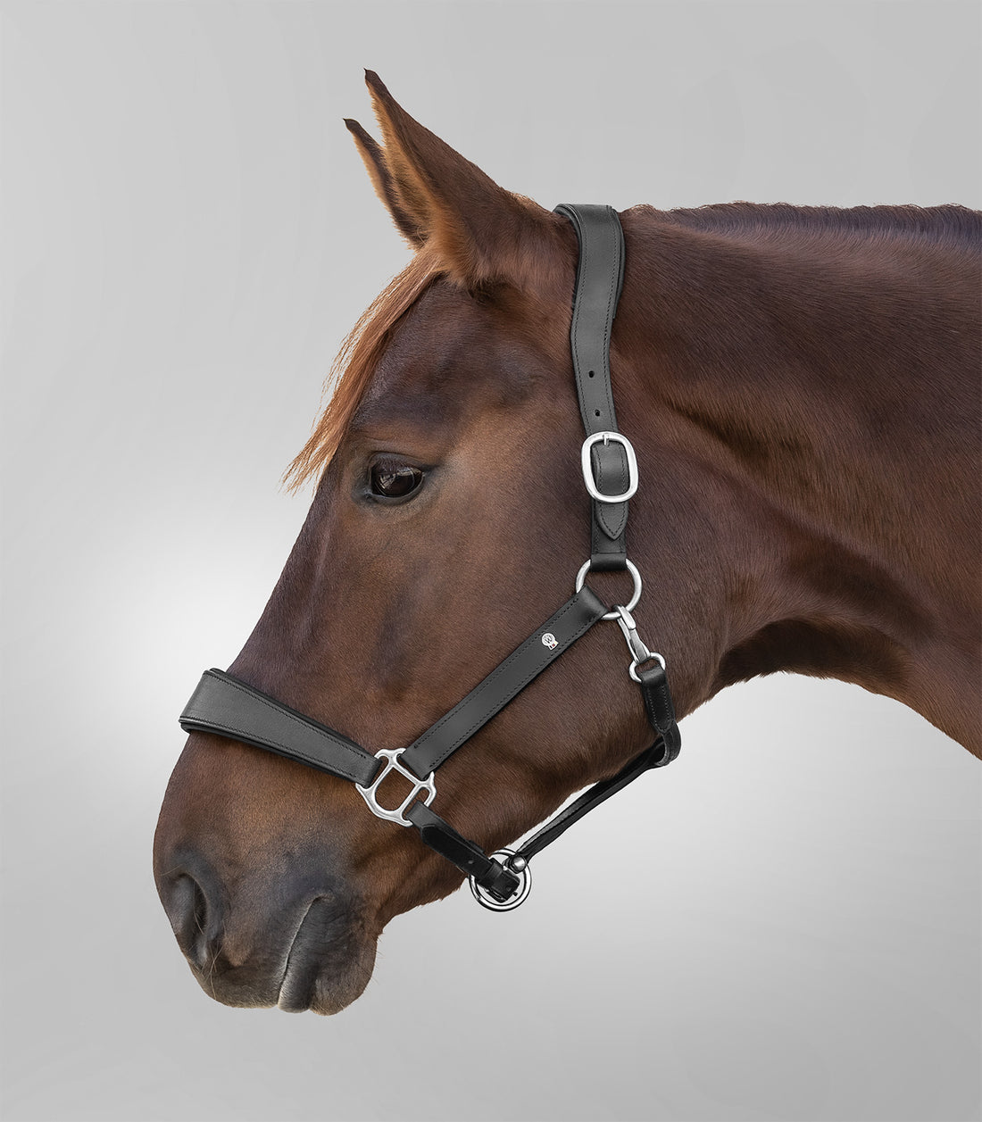 Waldhausen - Leatherhalter S-Line Anatomic