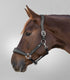 Waldhausen - Leatherhalter S-Line Anatomic