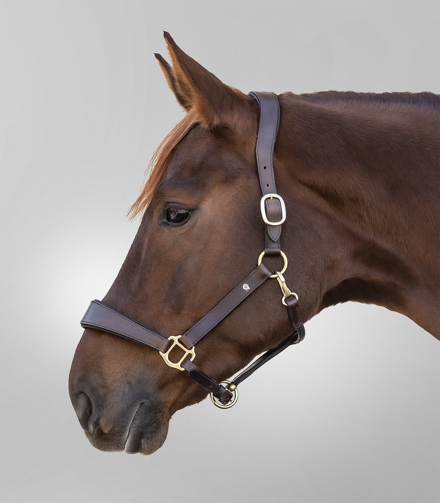 Waldhausen - Leatherhalter S-Line Anatomic