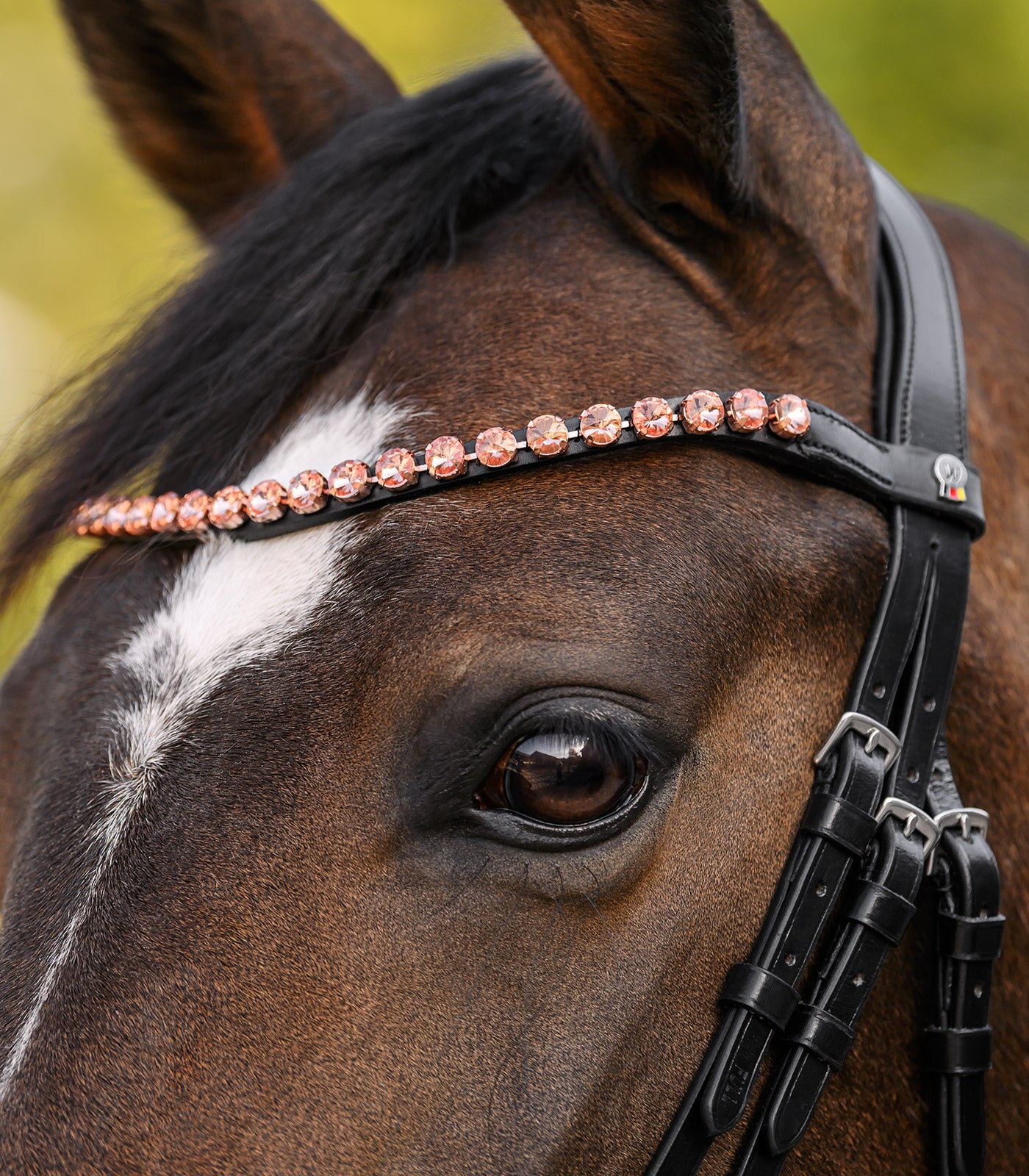 Waldhausen - Browband X-Line Boost