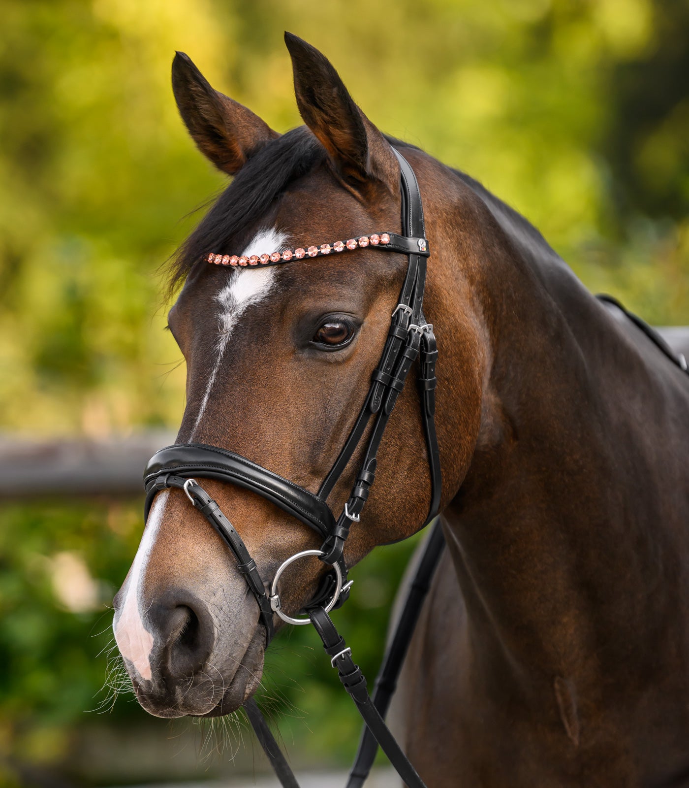 Waldhausen - Browband X-Line Boost