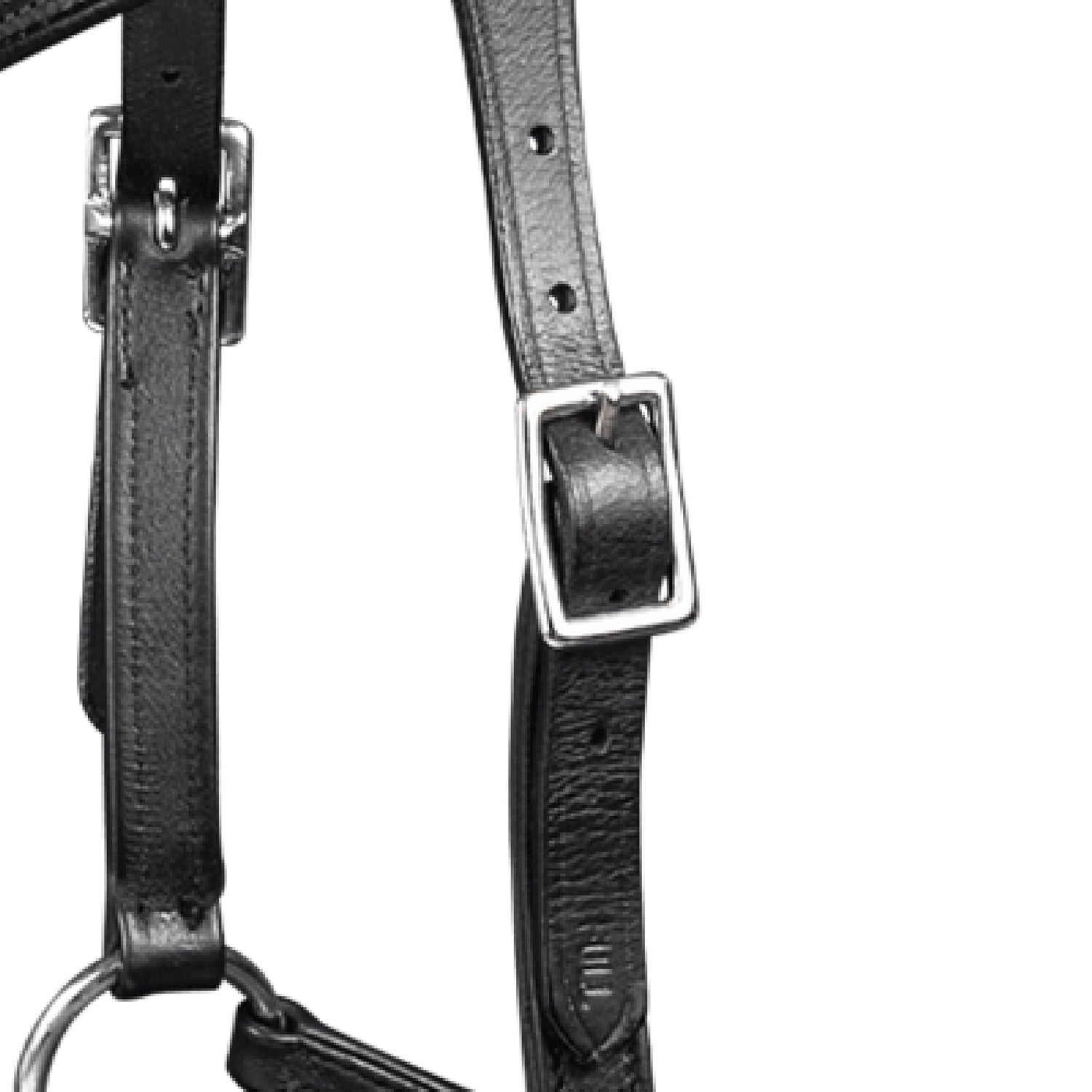 Waldhausen - Bitless bridle Supersoft Nuova, X-Line, black