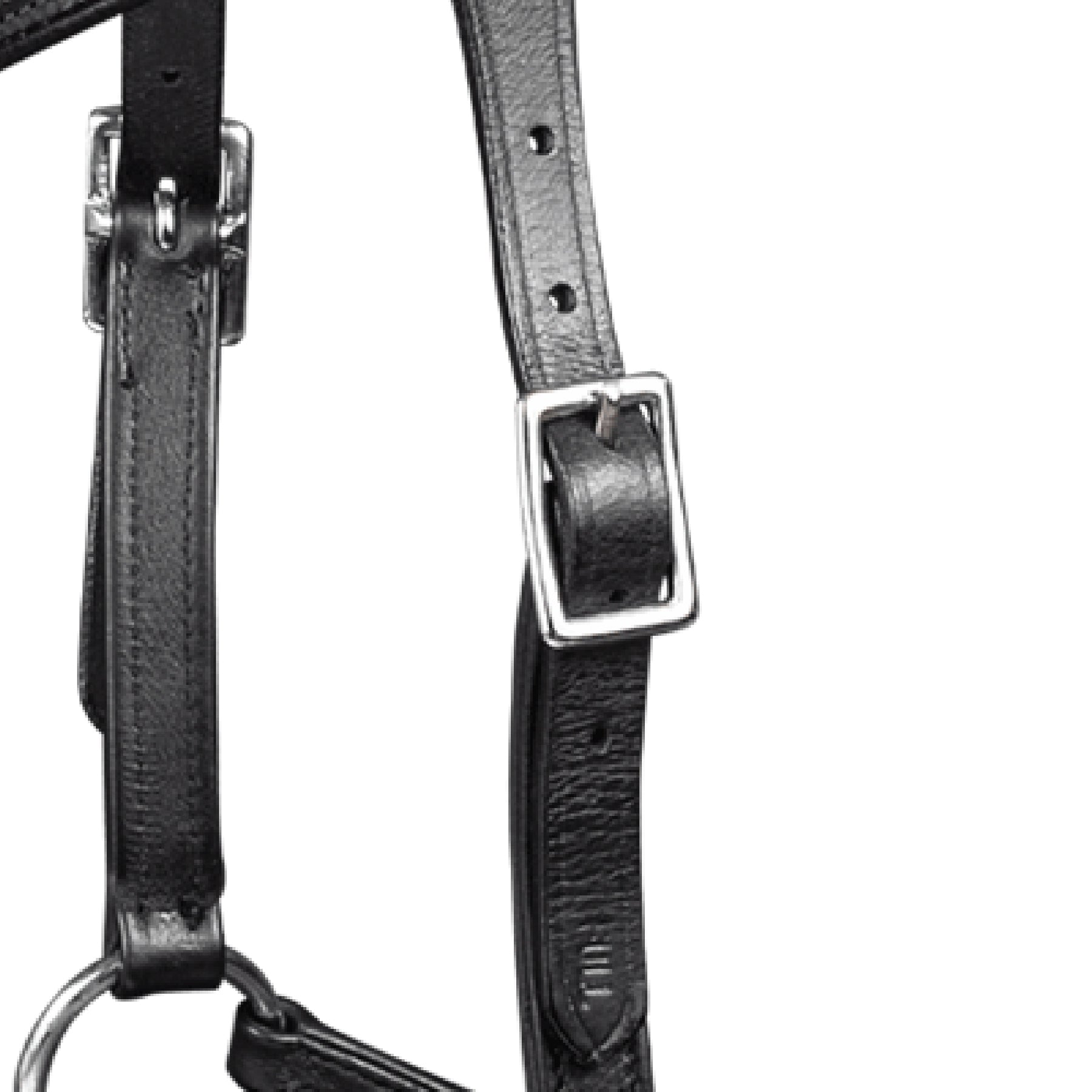 Waldhausen - Bitless bridle Supersoft Nuova, X-Line, black