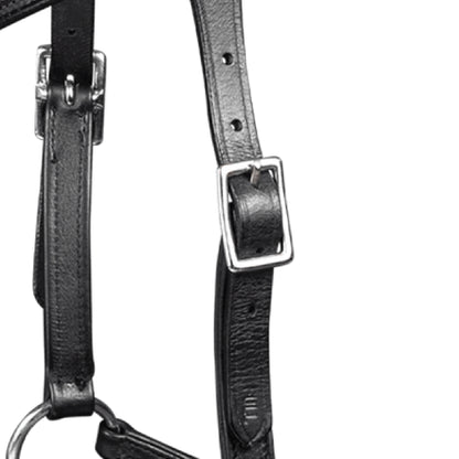 Waldhausen - Bitless bridle Supersoft Nuova, X-Line, black
