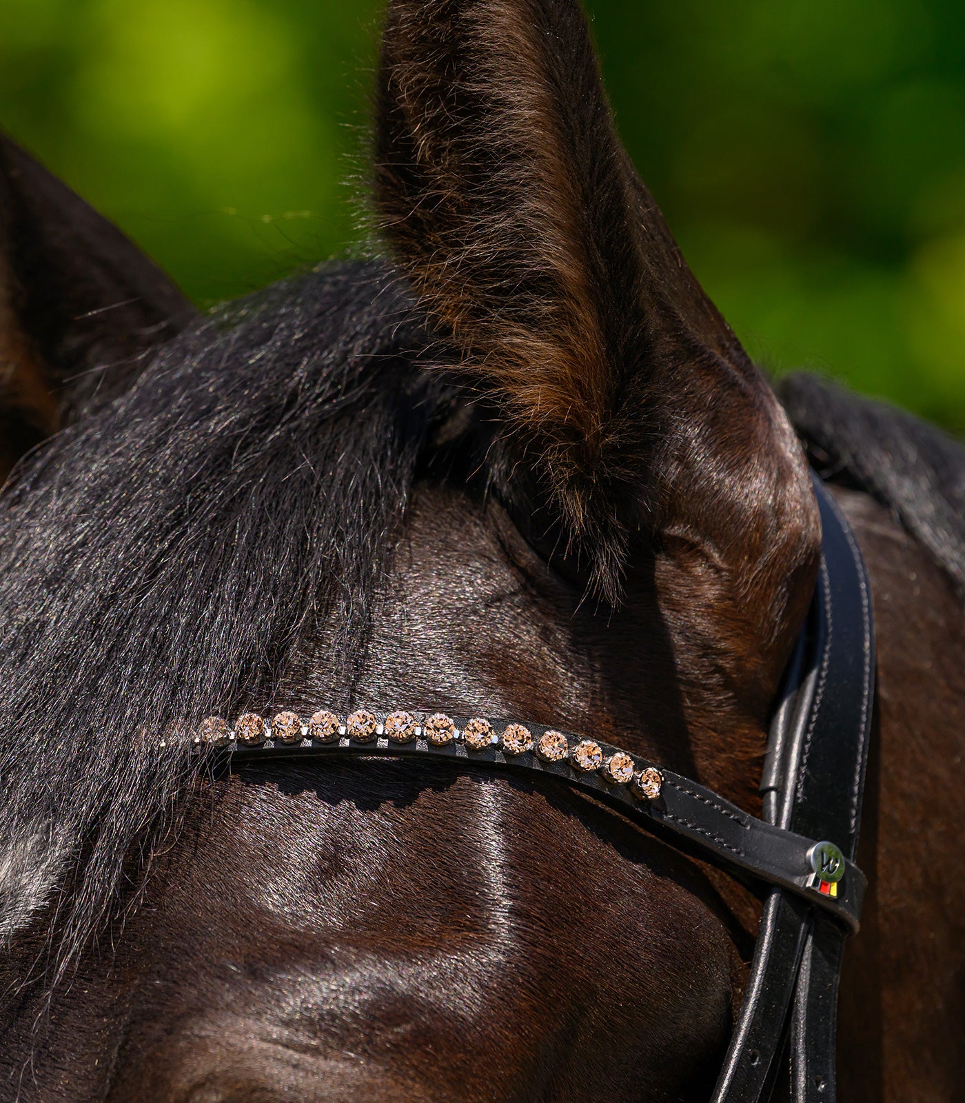 Waldhausen - Browband X-Line Glam