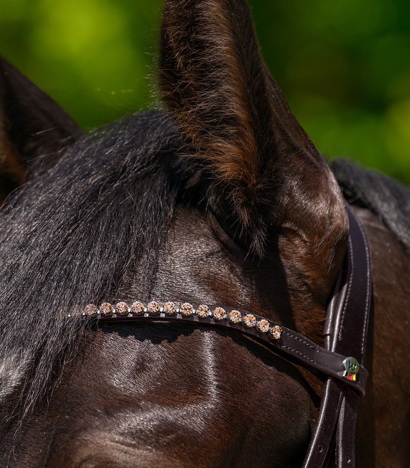 Waldhausen - Browband X-Line Glam