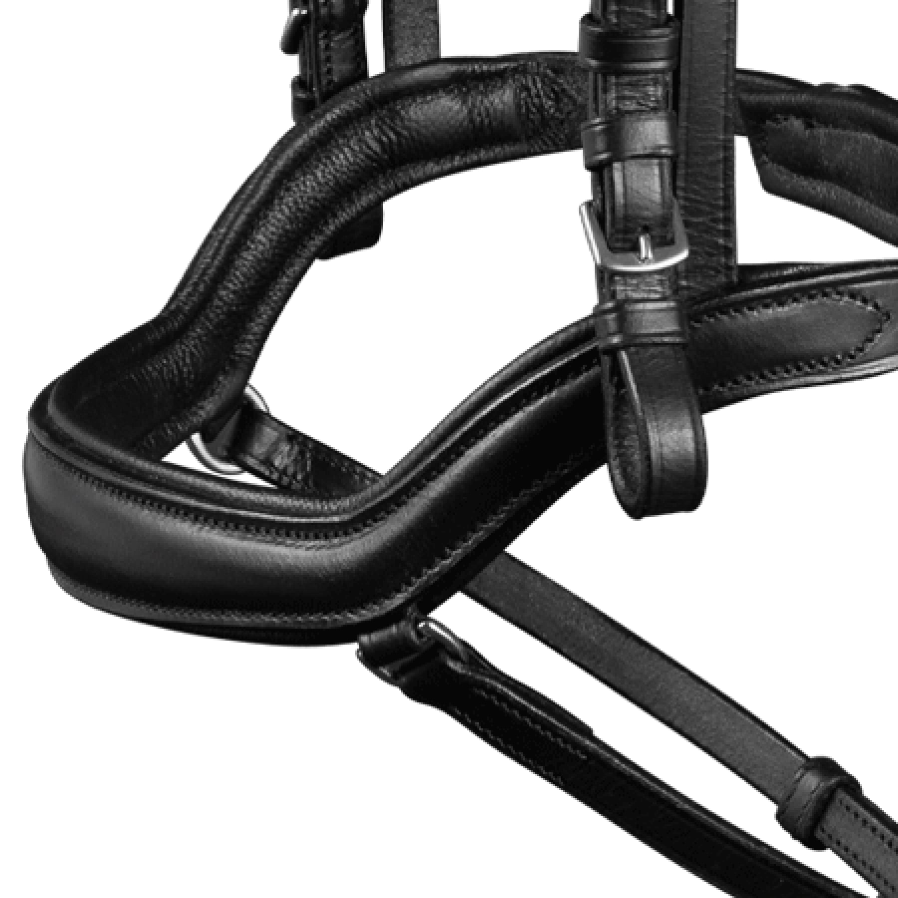 Waldhausen - X-Line bridle New Shape II, black