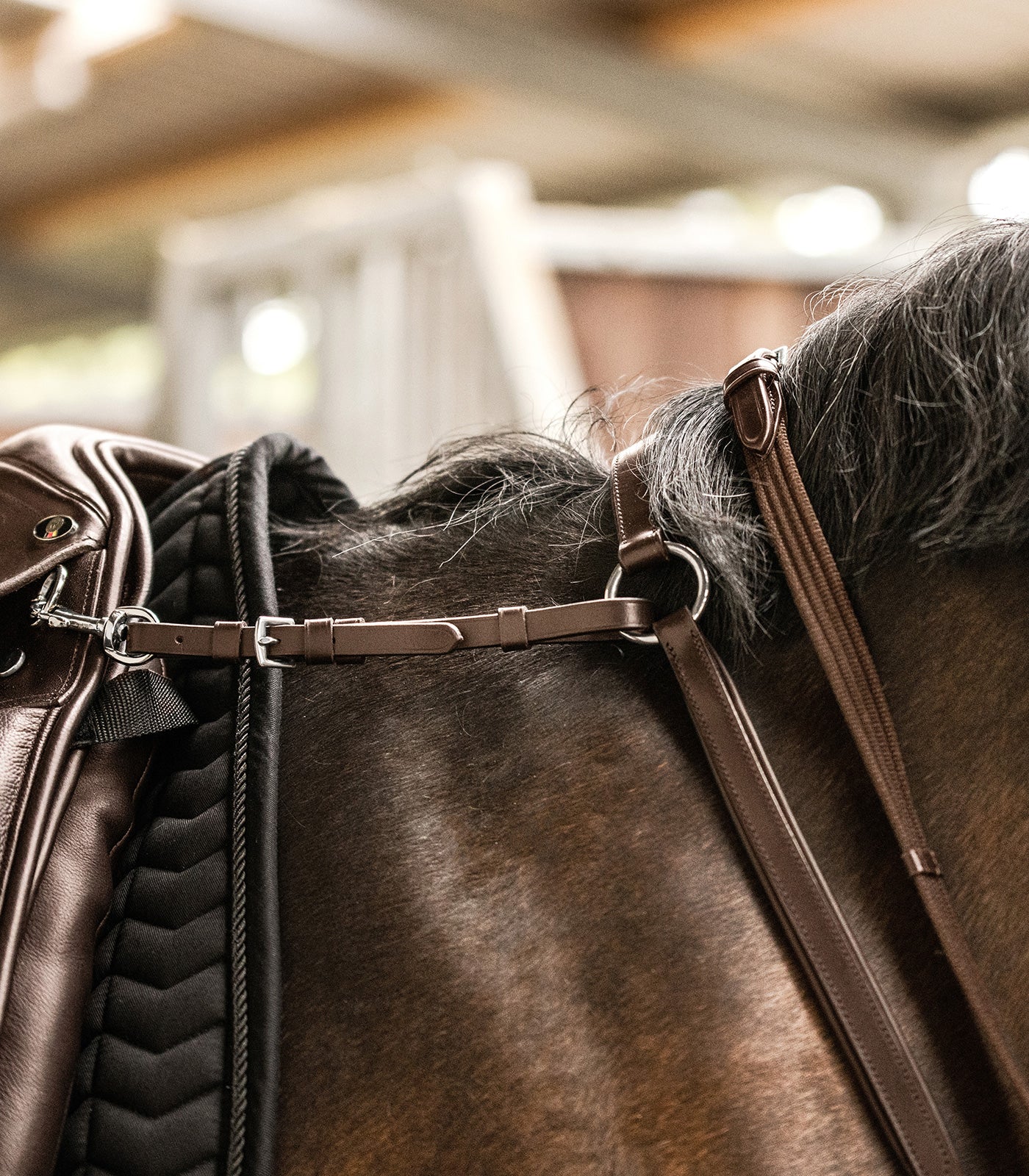 Waldhausen - Waldhausen X-Line Breastplate Professional