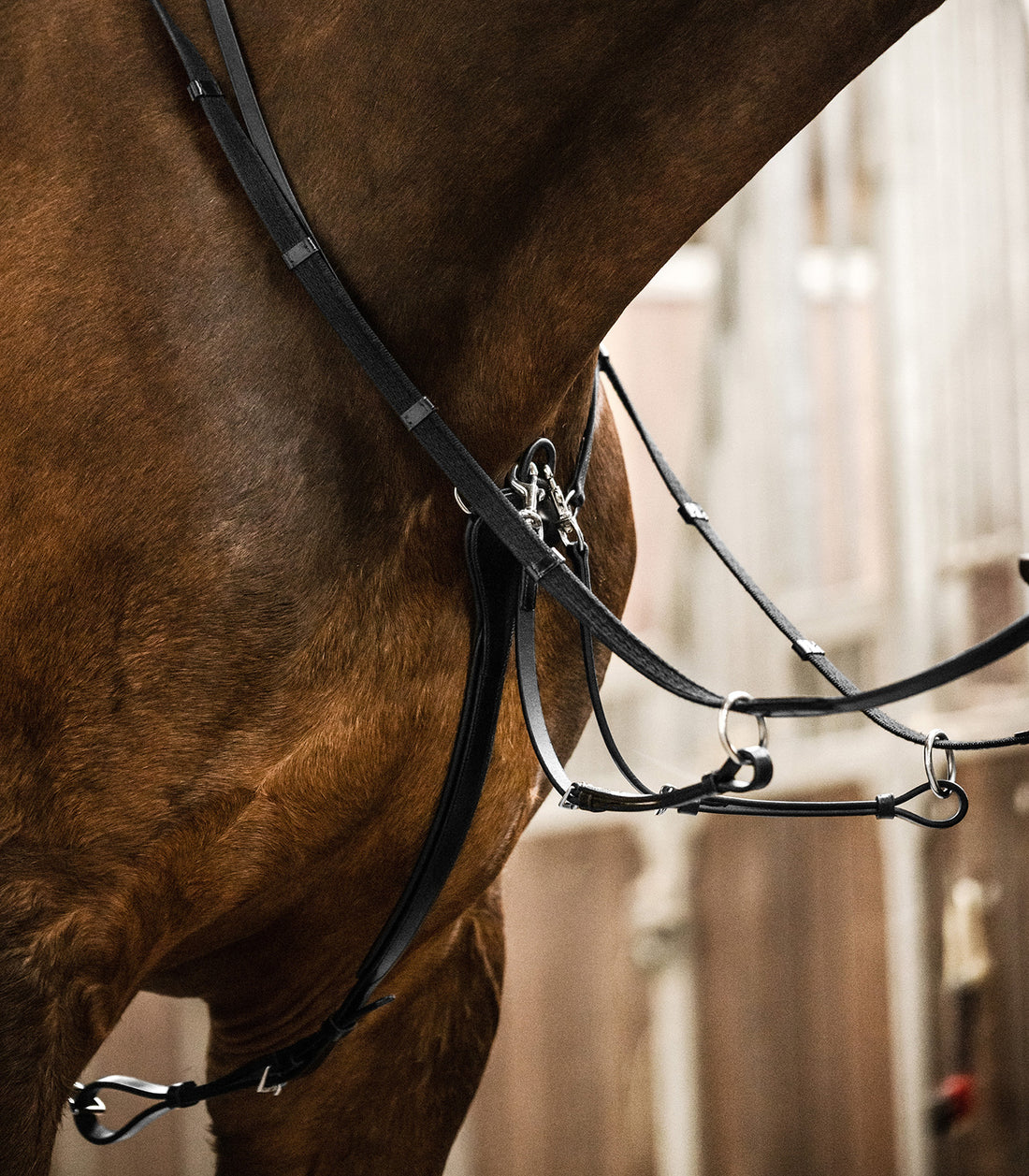 Waldhausen - Waldhausen X-Line Martingale