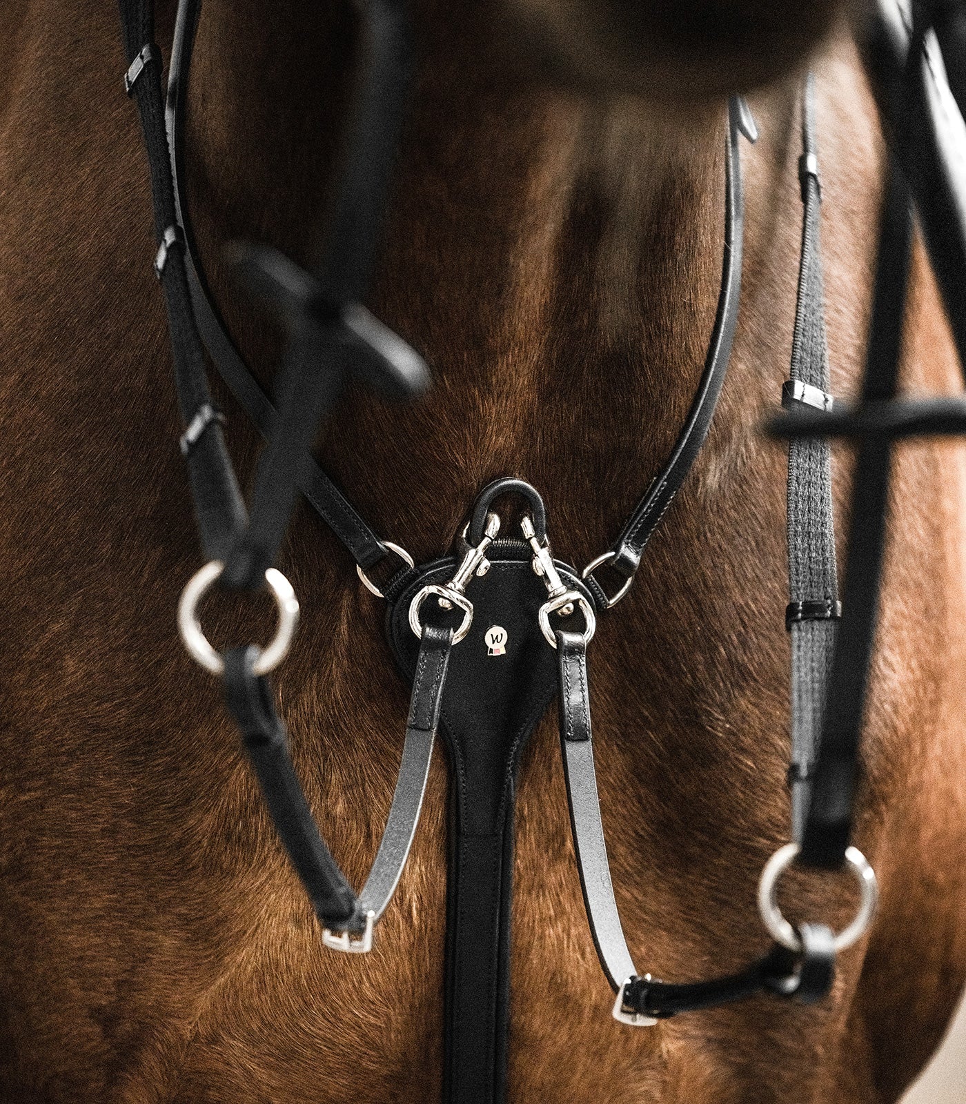 Waldhausen - Waldhausen X-Line Martingale