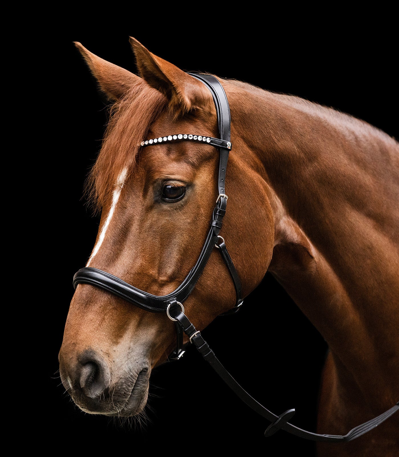 Waldhausen - Bitless bridle Sensation, X-Line