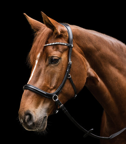 Waldhausen - Bitless bridle Sensation, X-Line