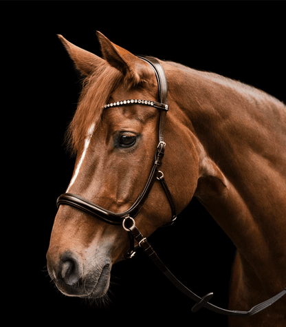Waldhausen - Bitless bridle Sensation, X-Line