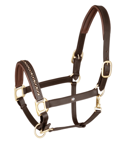 Waldhausen - Leatherhalter Crystal