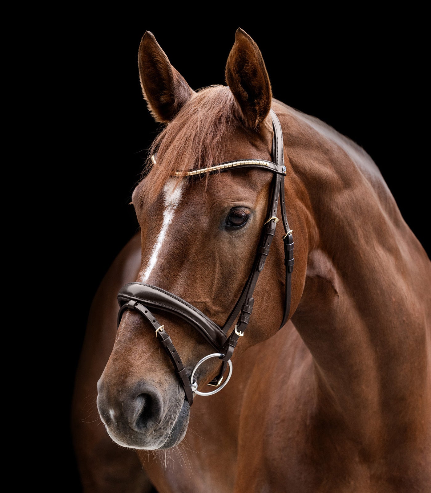 Waldhausen - bridle X-Line Clincher