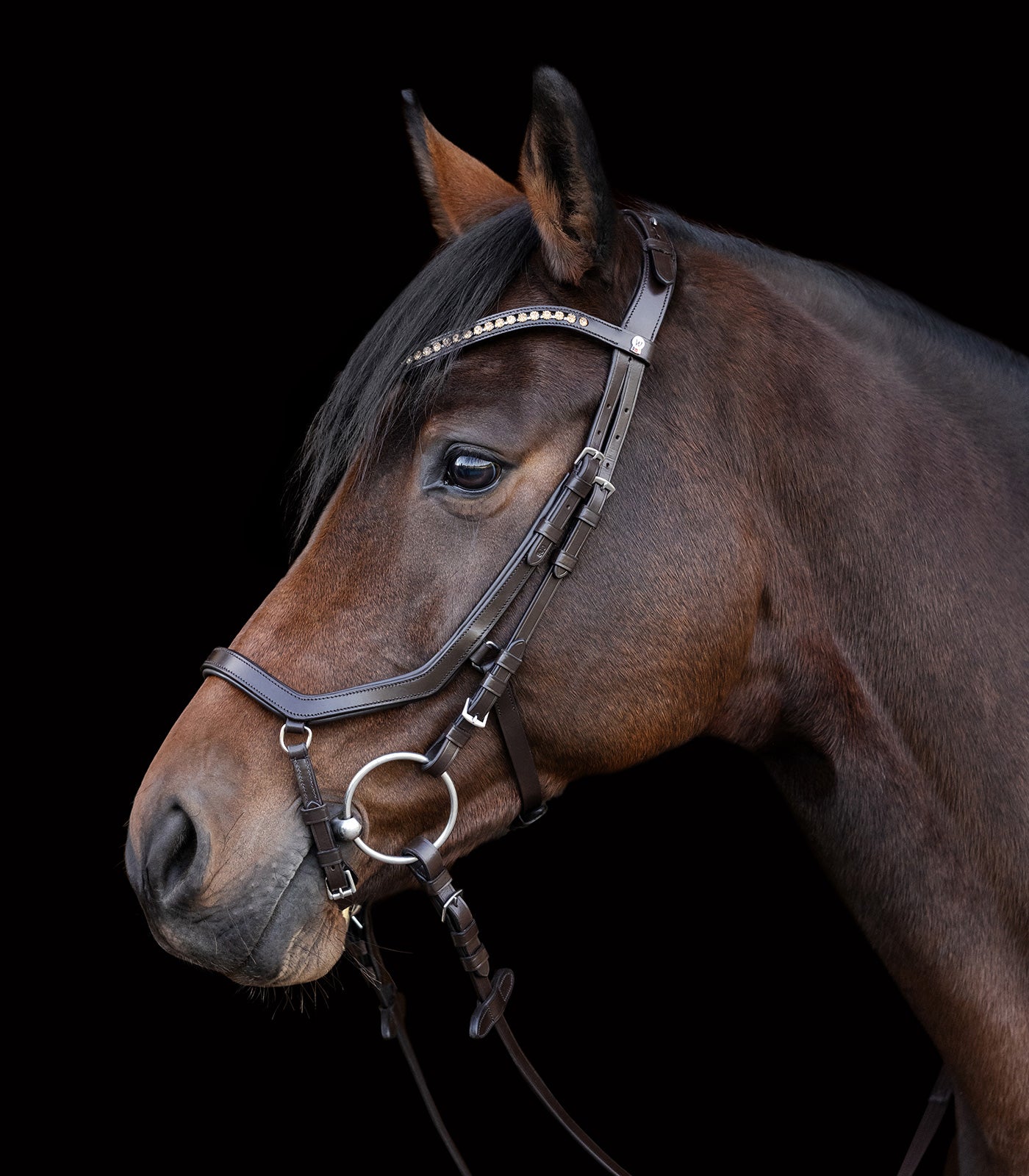 Waldhausen - Waldhausen X-Line bridle Relaxation