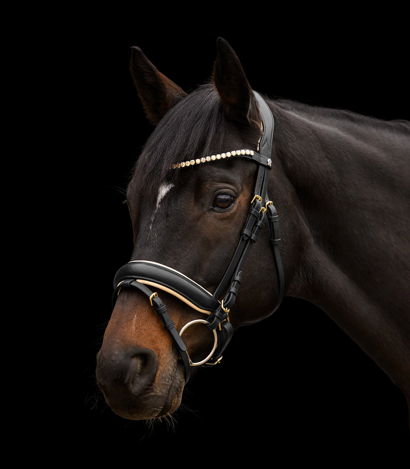 Waldhausen - Bridle X-Line Ivory, pullback comb.