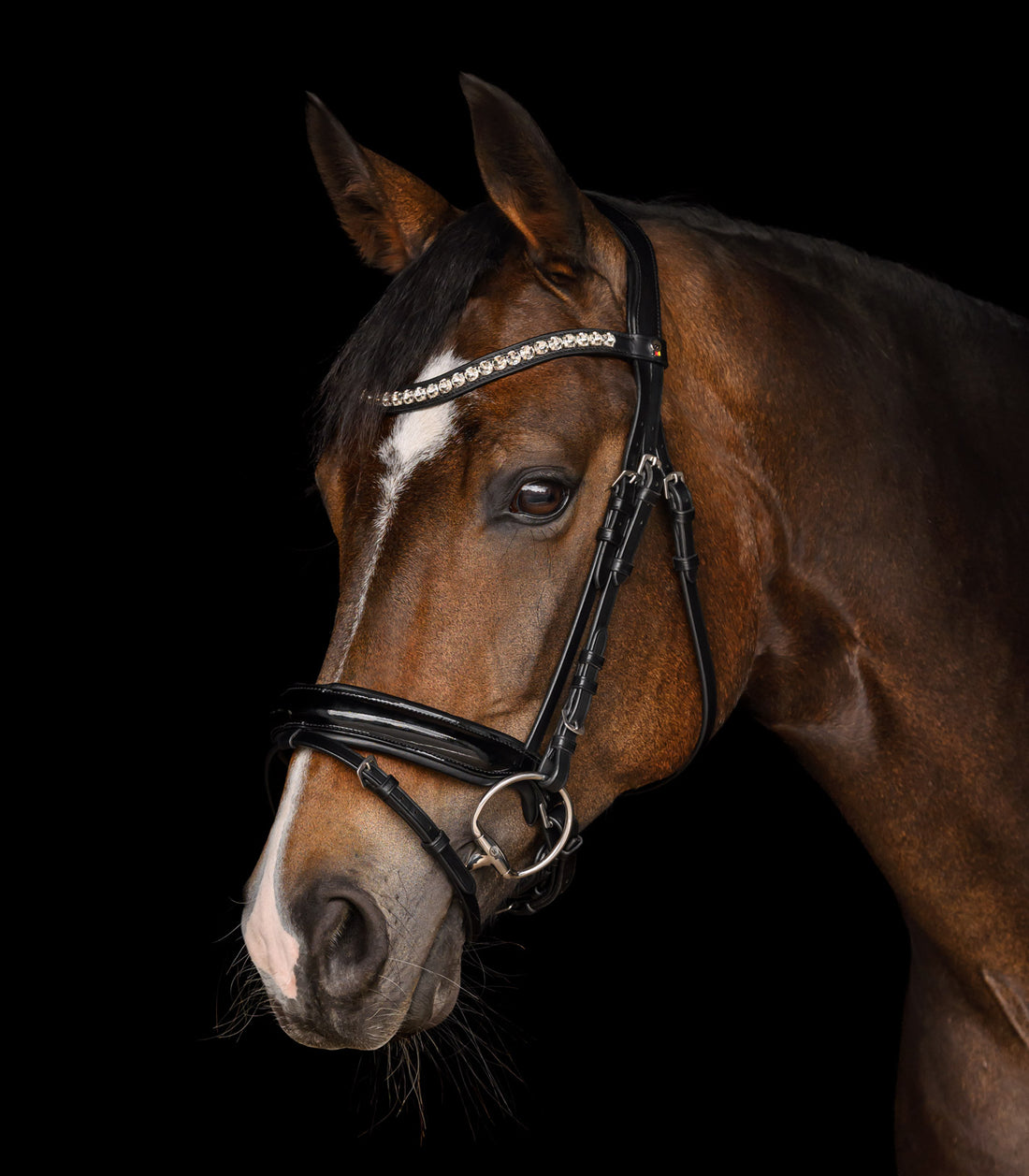 Waldhausen - bridle X-Line Evermore pullback, black