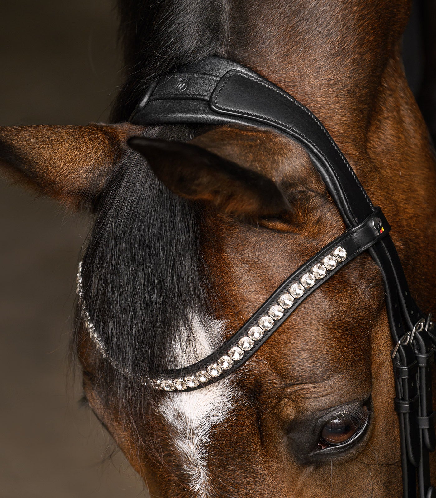 Waldhausen - bridle X-Line Evermore pullback, black