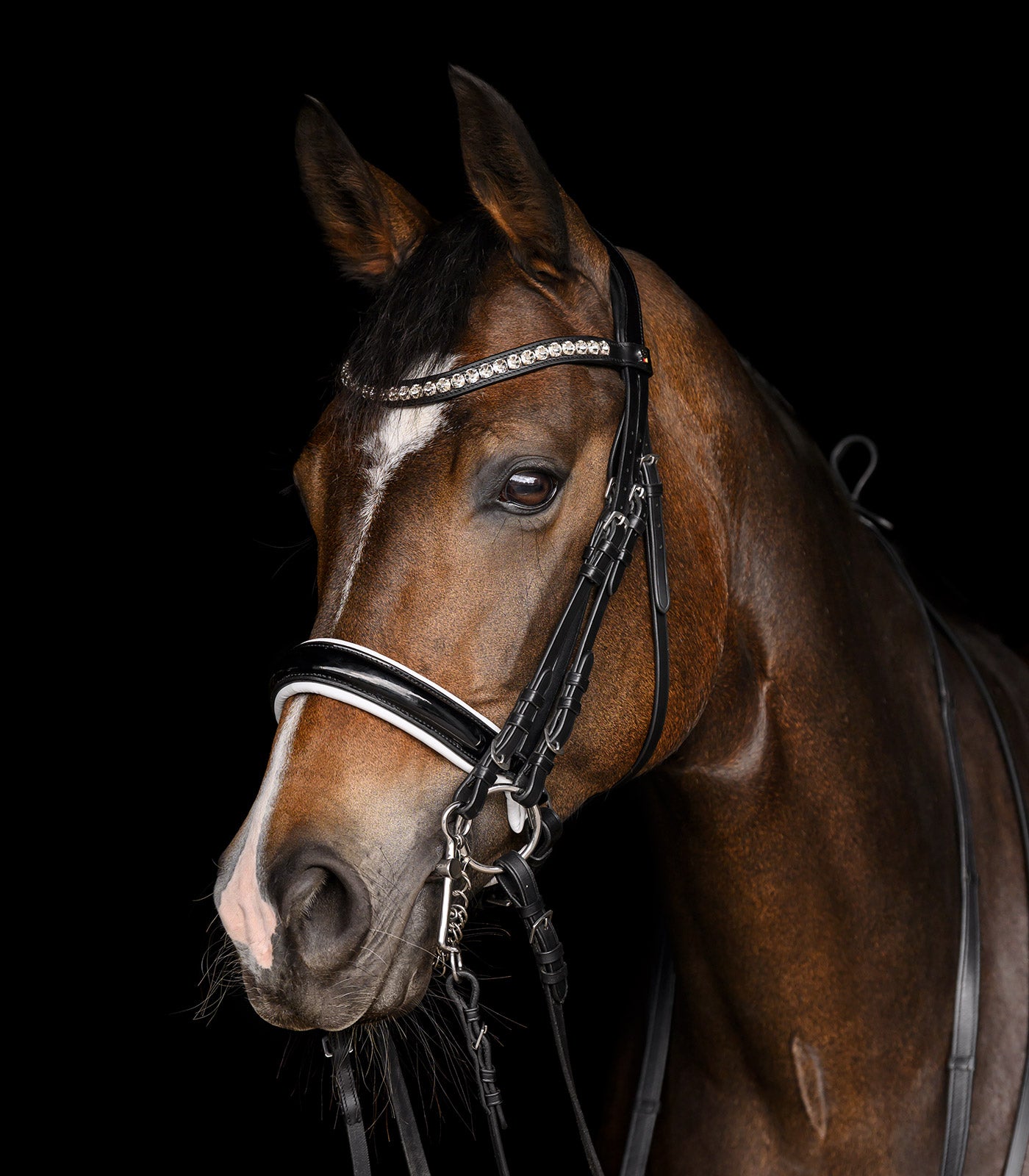 Waldhausen - Weymouth bridle Evermore, pullback black/white