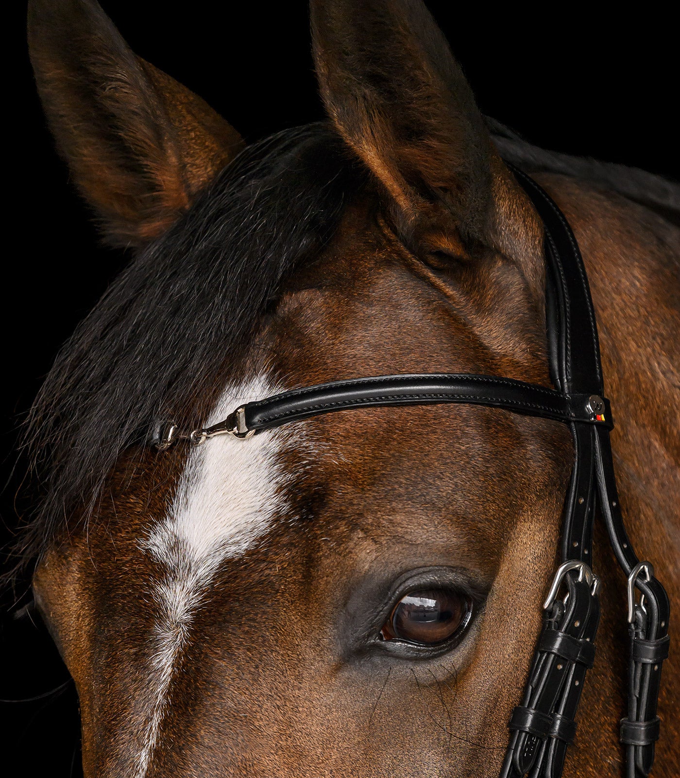 Waldhausen - bridle X-Line Charmbit