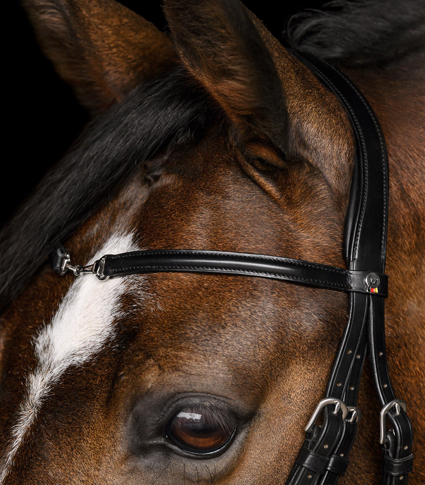 Waldhausen - bridle X-Line Charmbit