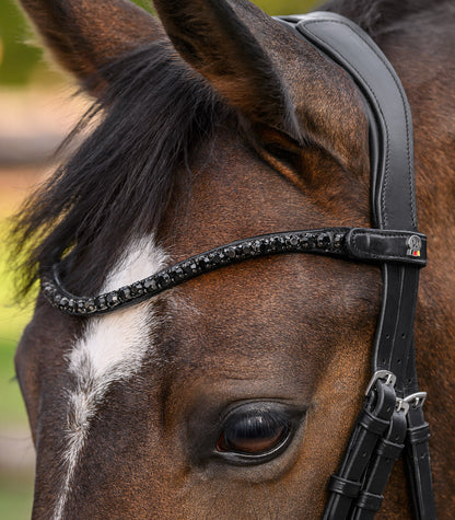 Waldhausen - Waldhausen X-Line Browband Shine, black