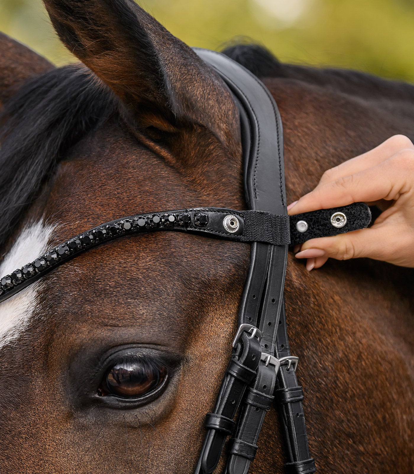 Waldhausen - Waldhausen X-Line Browband Shine, black