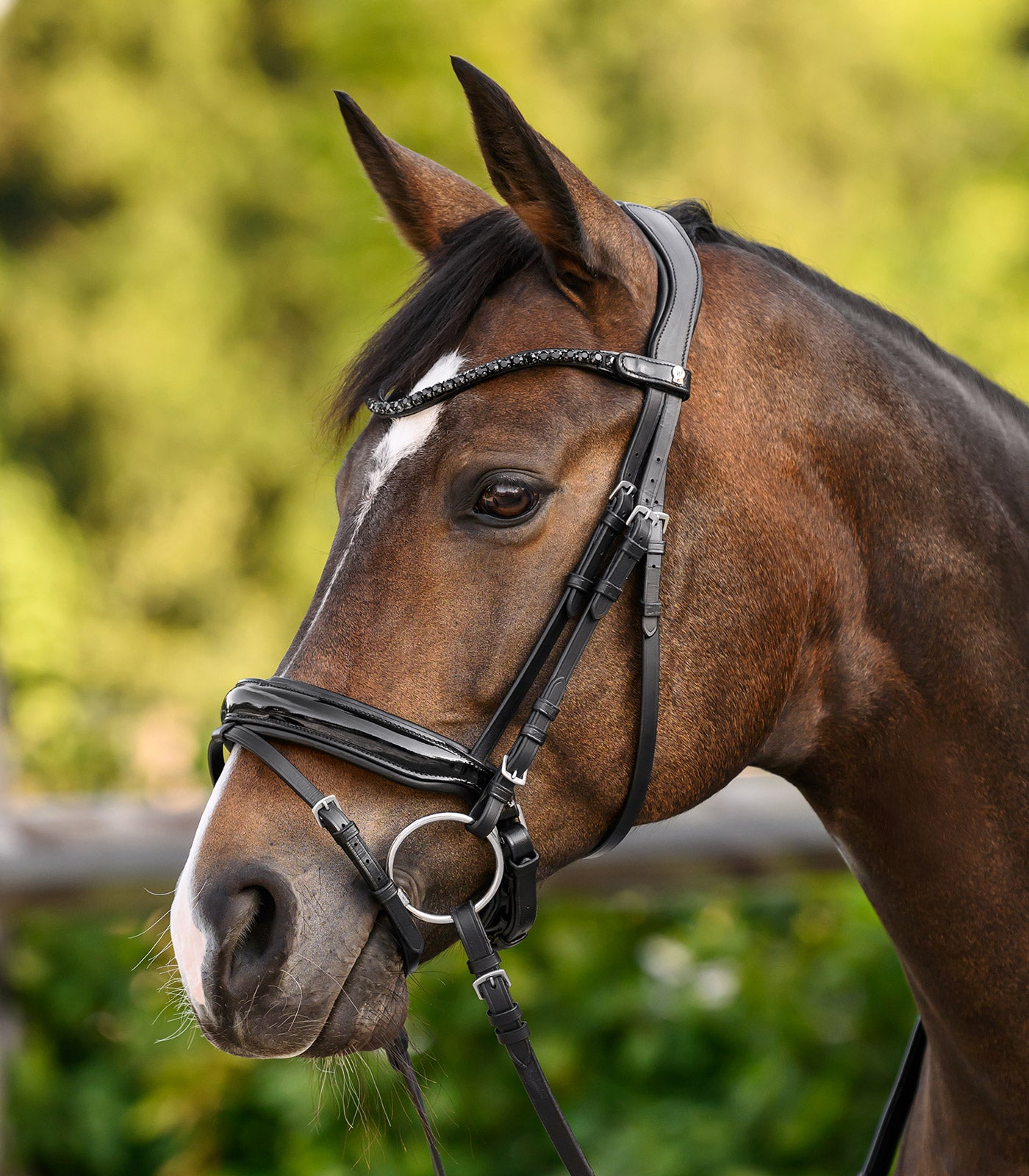 Waldhausen - Waldhausen X-Line Browband Shine, black