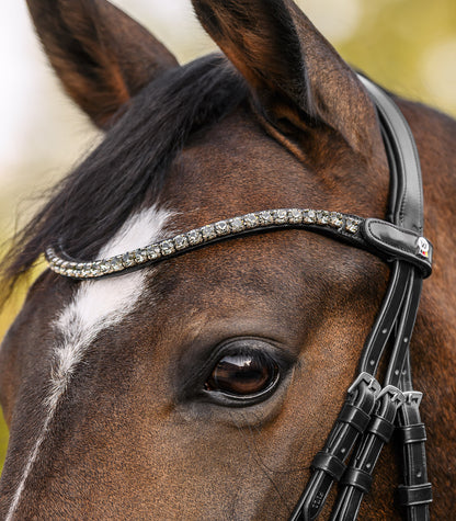Waldhausen - Waldhausen X-Line Browband Shine, black
