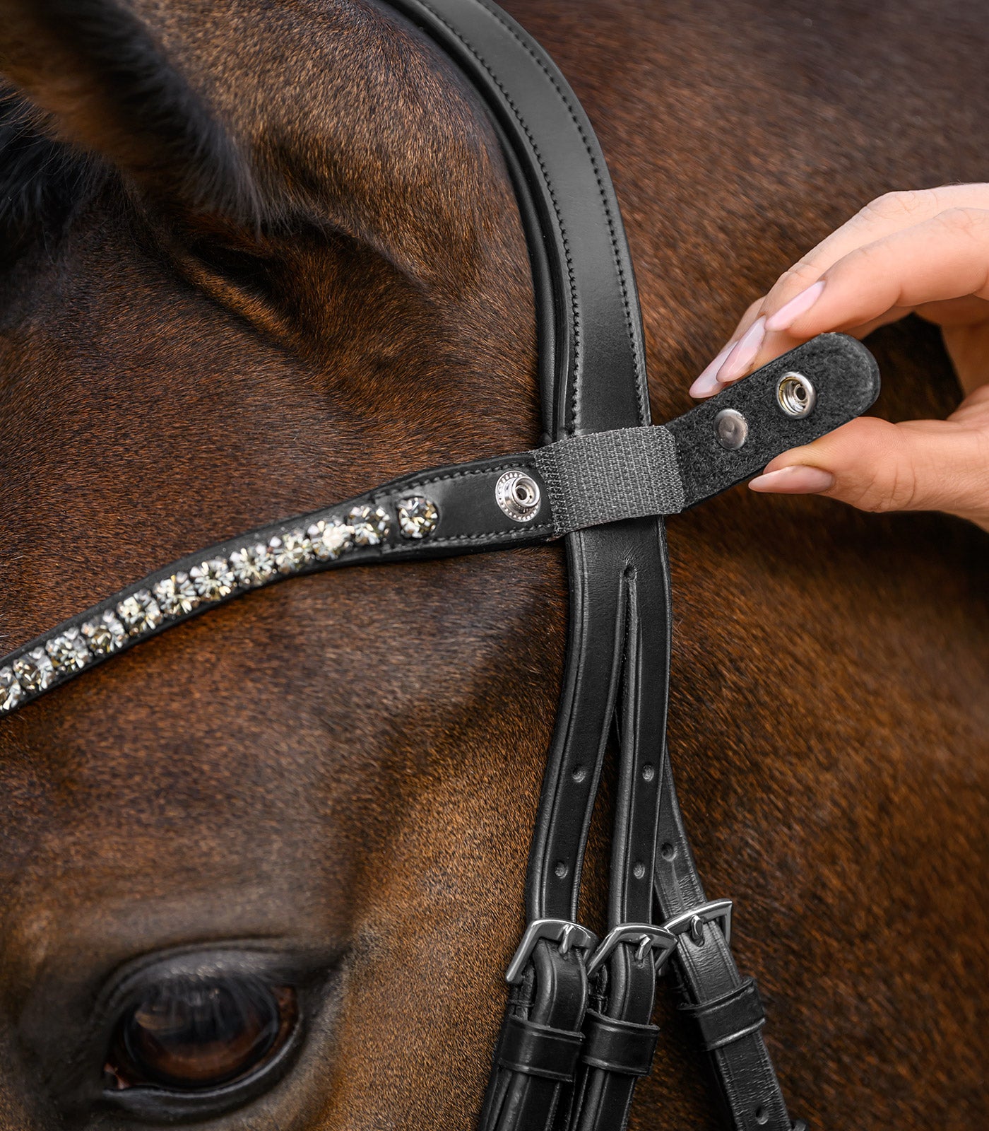 Waldhausen - Waldhausen X-Line Browband Shine, black
