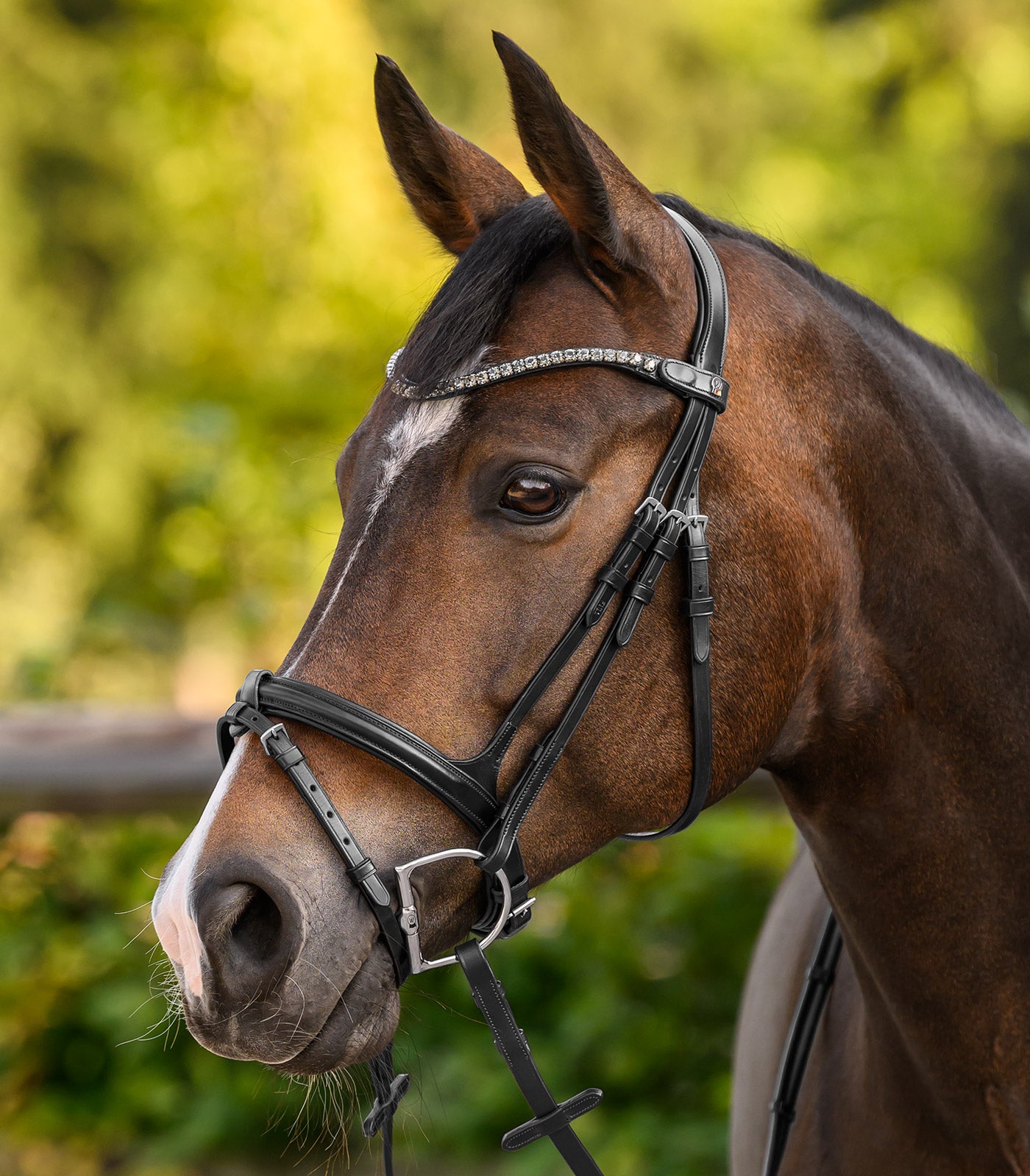 Waldhausen - Waldhausen X-Line Browband Shine, black