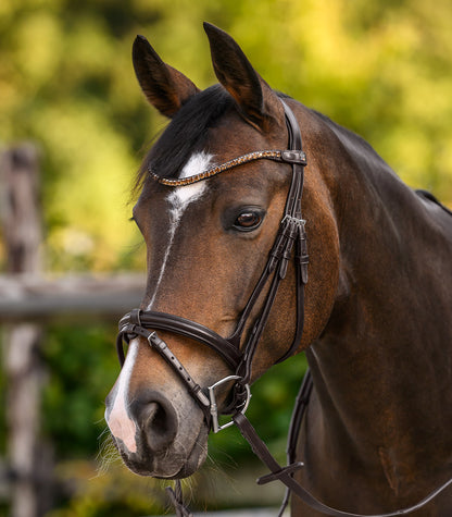 Waldhausen - Waldhausen X-Line Browband Shine, brown
