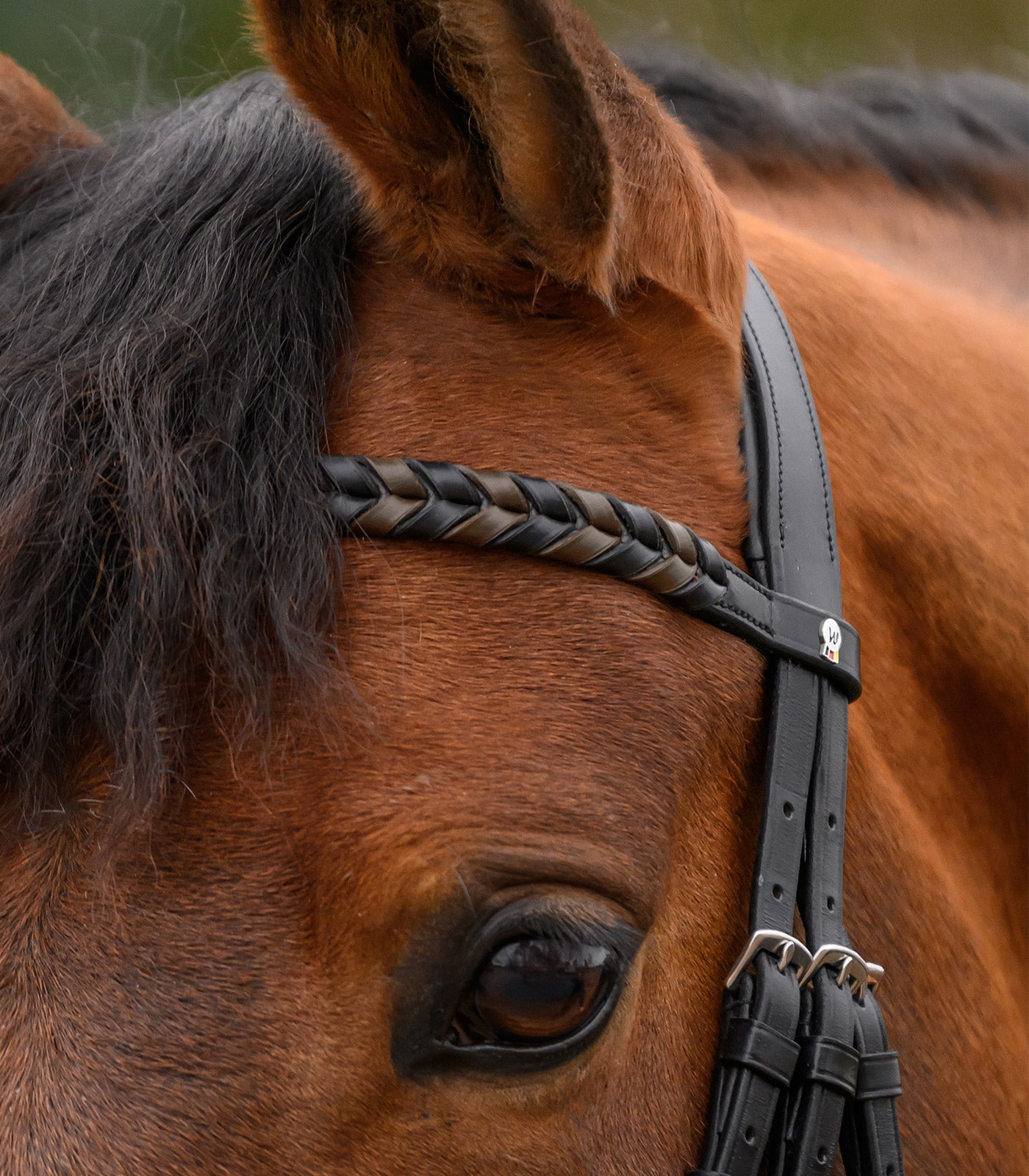 Waldhausen - X-Line Browband Braided