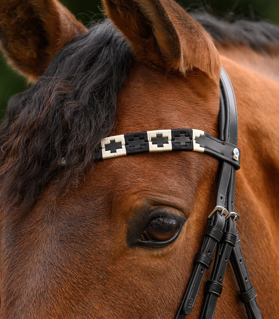 Waldhausen - X-Line Browband Polo, black