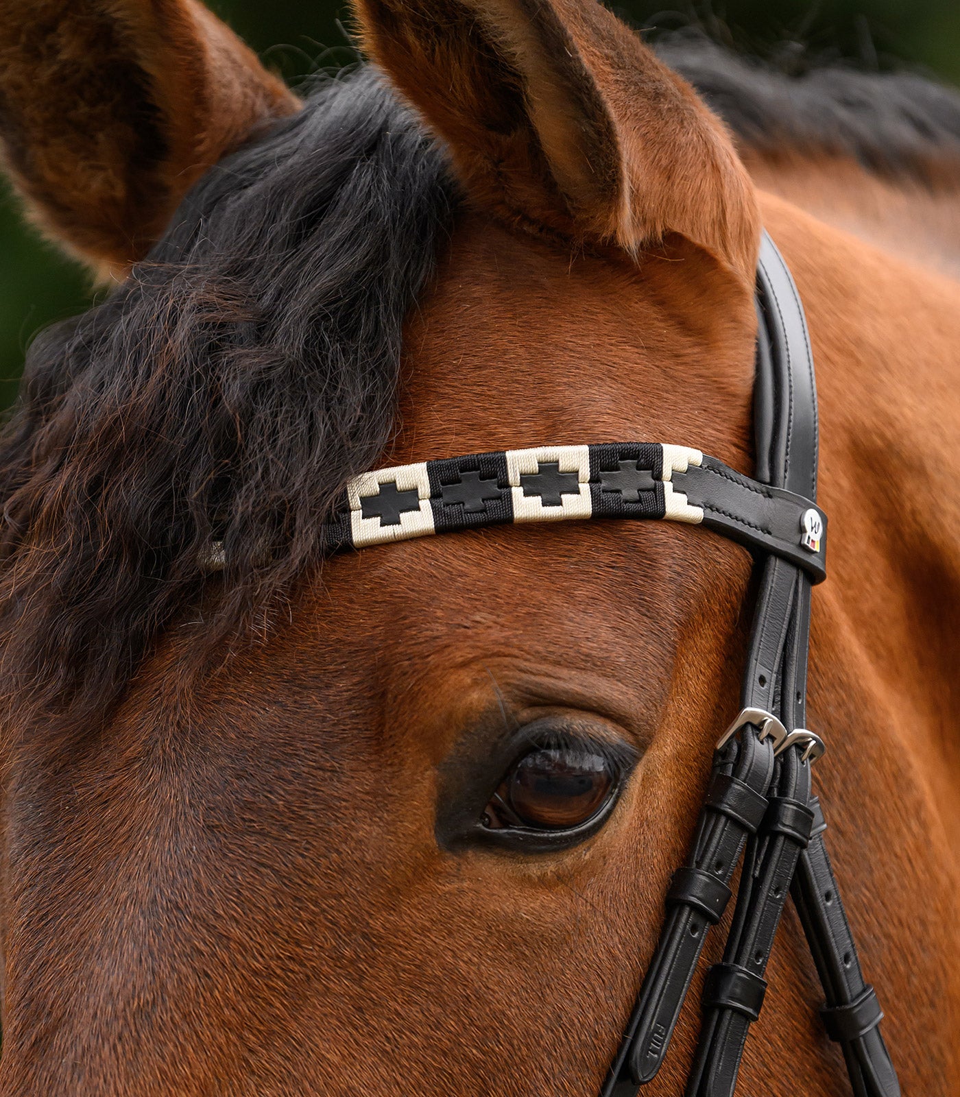Waldhausen - X-Line Browband Polo, black