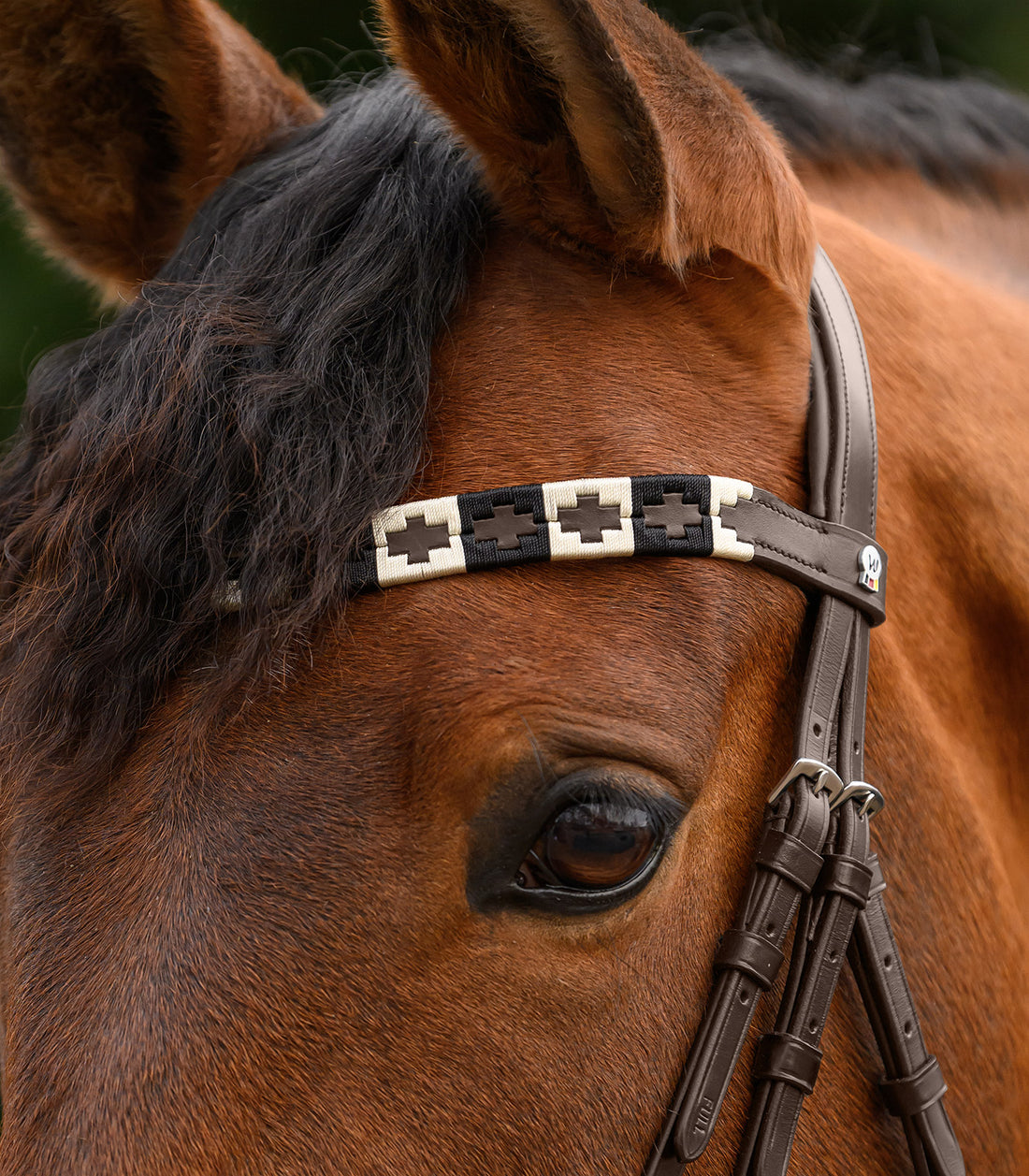 Waldhausen - X-Line Browband Polo, brown