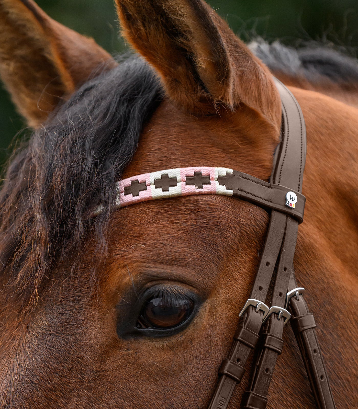Waldhausen - X-Line Browband Polo, brown