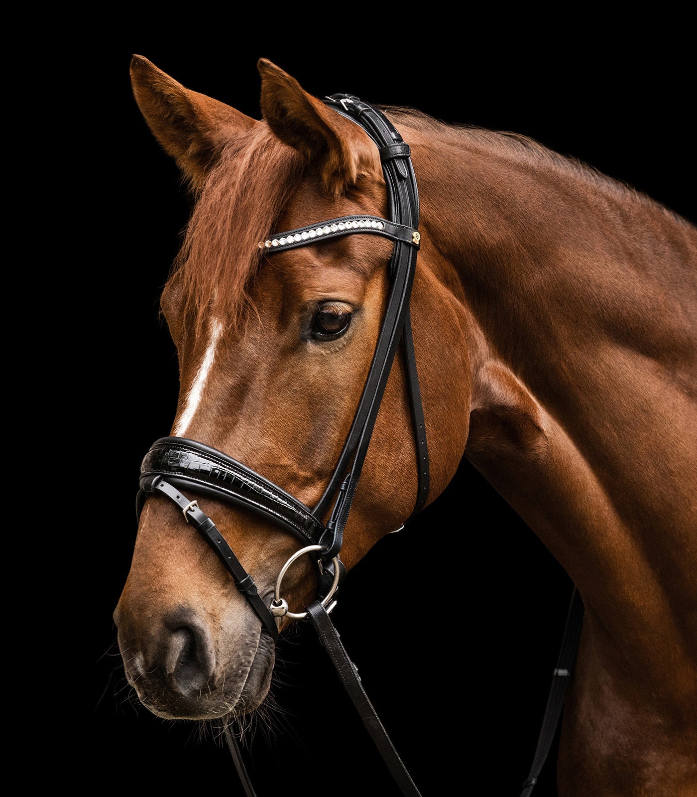 Waldhausen - bridle S-Line Magic, pullback, black