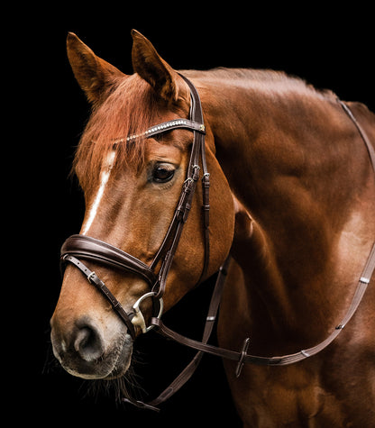 Waldhausen - bridle S-Line
