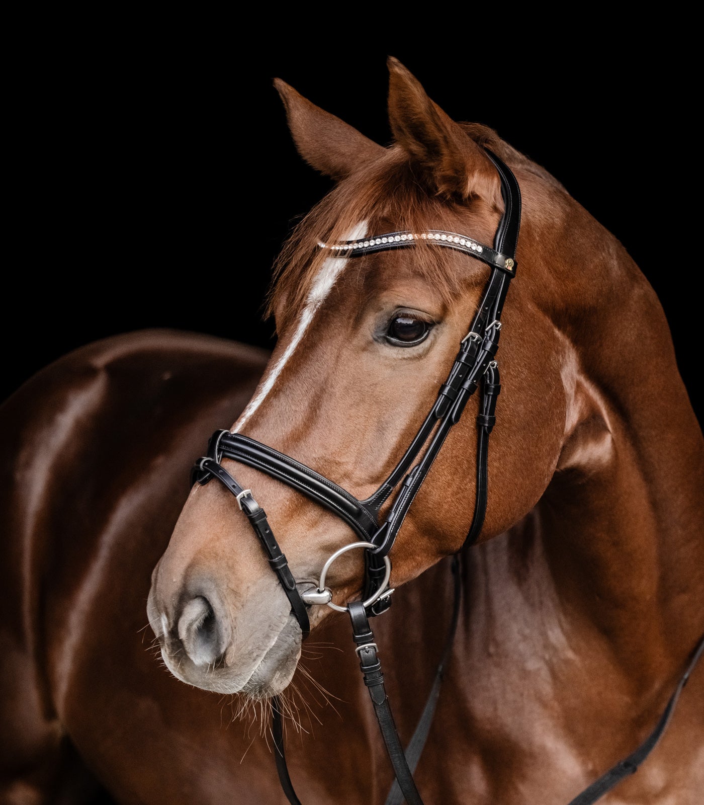 Waldhausen - S-Line bridle Harmony,english comb.