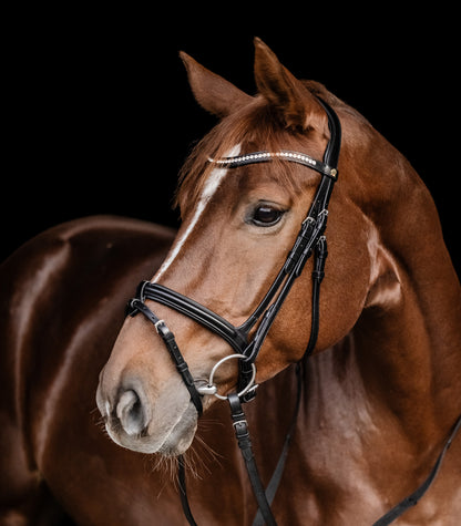 Waldhausen - S-Line bridle Harmony,english comb.