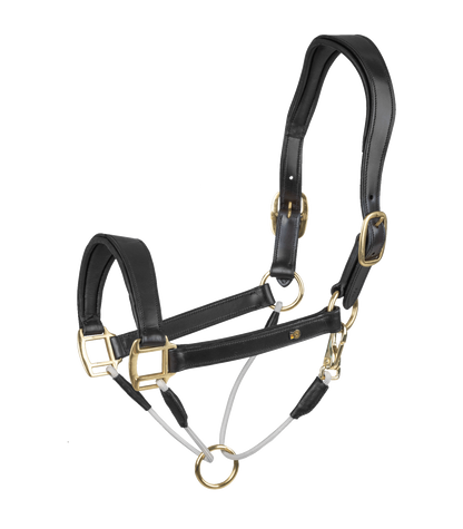 Waldhausen - Leatherhalter S-Line Royal