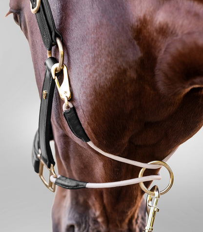Waldhausen - Leatherhalter S-Line Royal