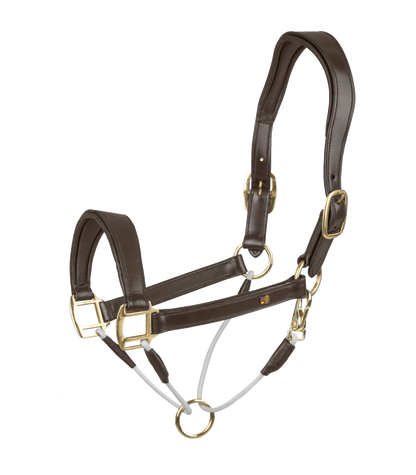 Waldhausen - Leatherhalter S-Line Royal