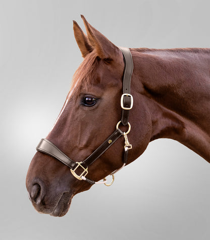 Waldhausen - Leatherhalter S-Line Royal