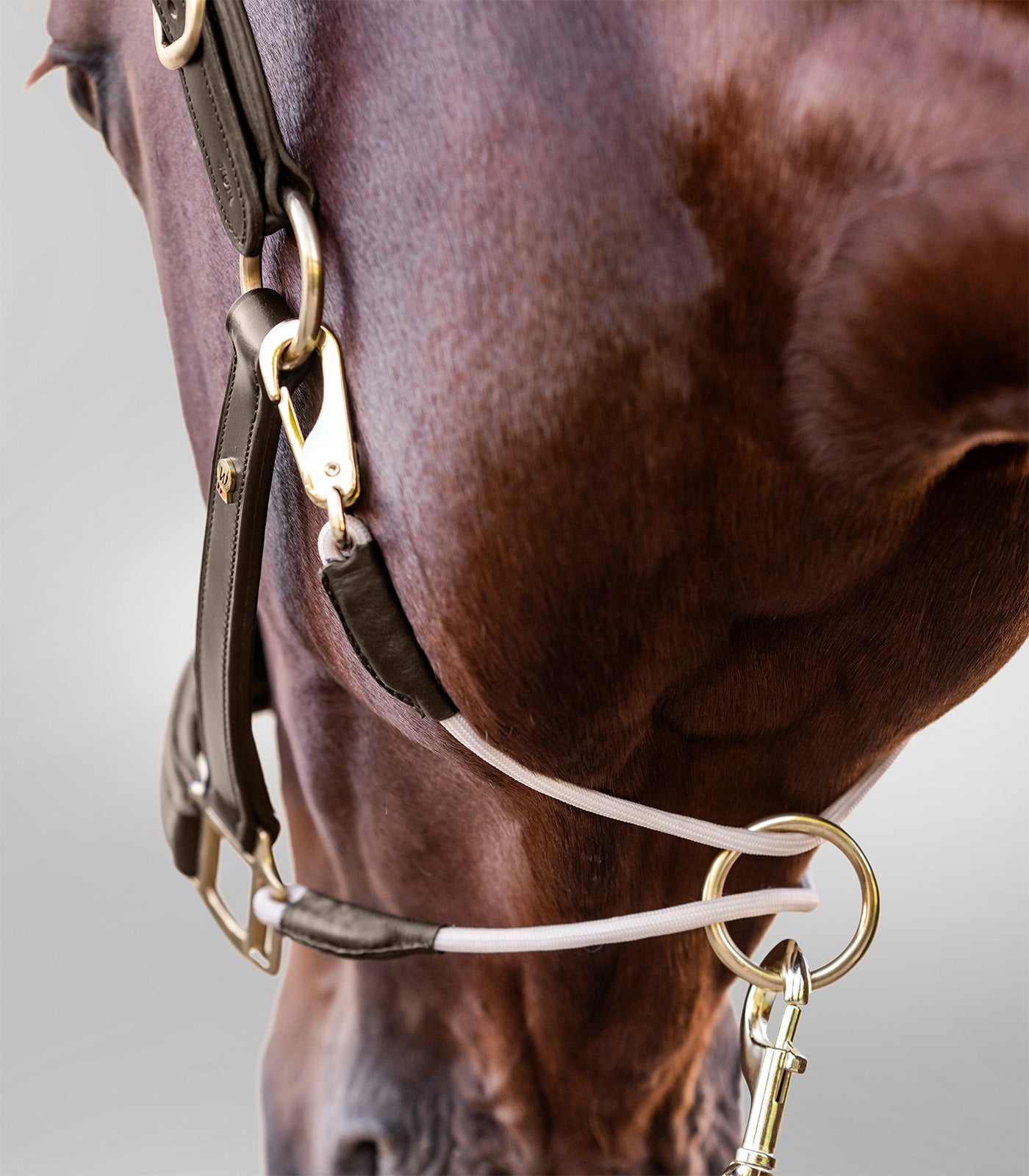 Waldhausen - Leatherhalter S-Line Royal