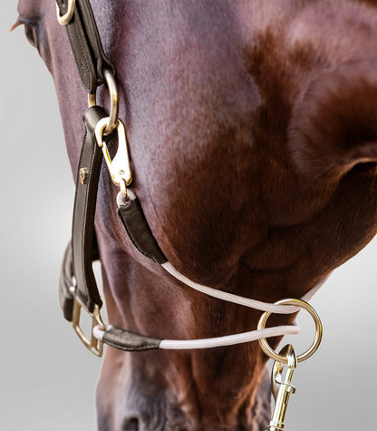 Waldhausen - Leatherhalter S-Line Royal