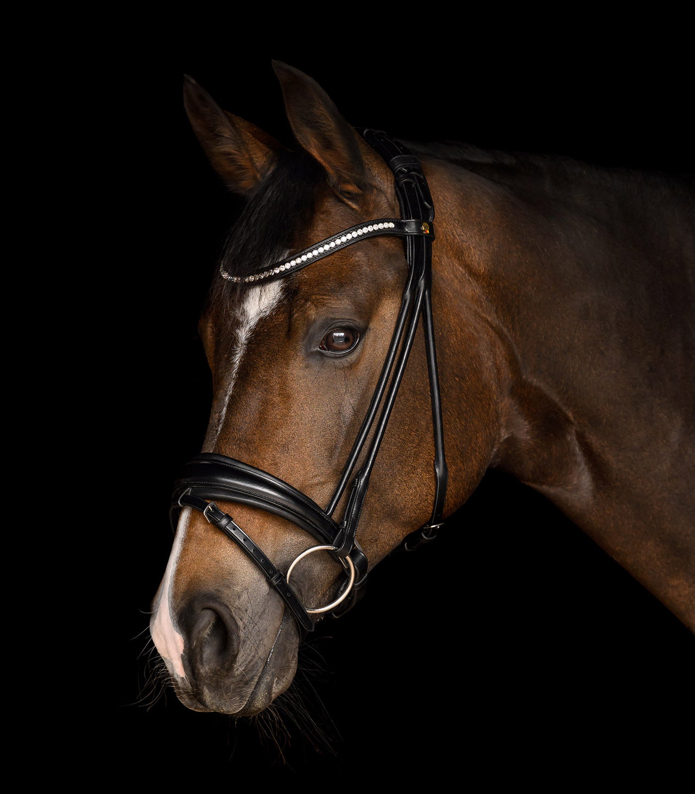 Waldhausen - bridle S-Line Grace, pullback, black