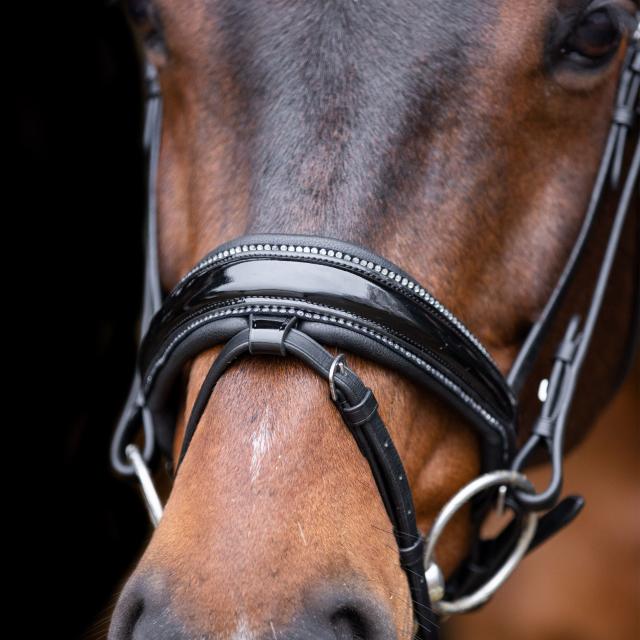 Imperial Ridning, Hovedtøj, Olympia- Black